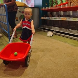 Patriots NFL  Football Cheerleader dress